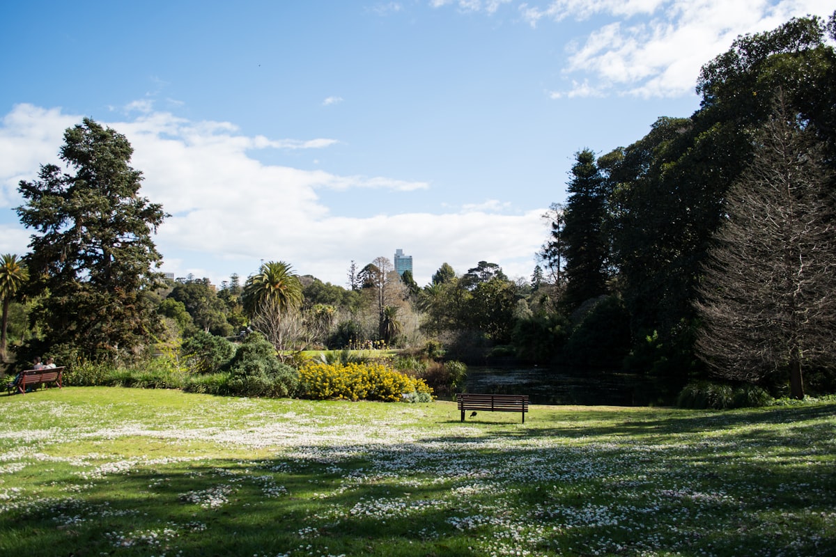 Melbourne This Weekend March 21-22 2026: Everything Happening