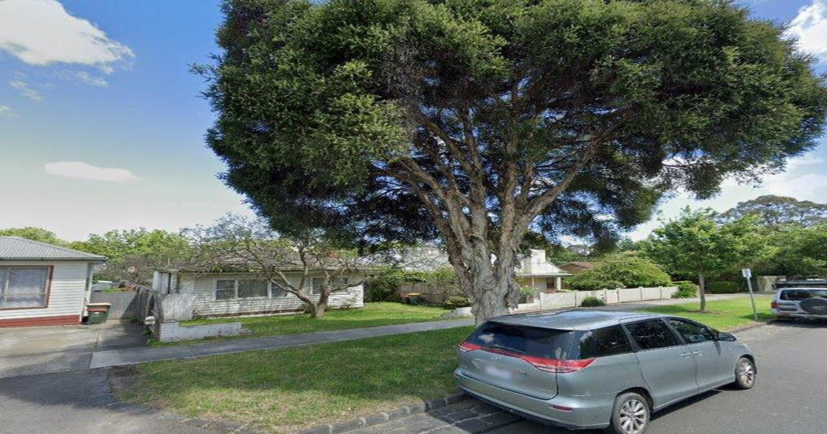 Mitcham FAQ — Your Questions Answered (2026)