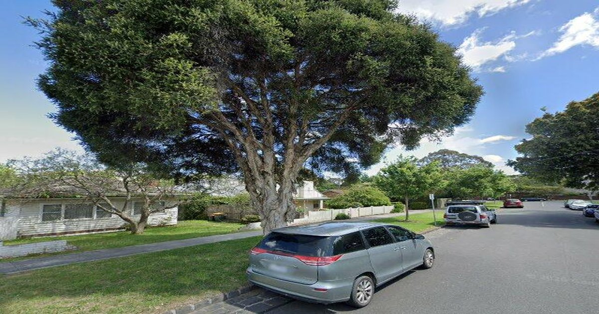 Mitcham for Families — Complete Guide