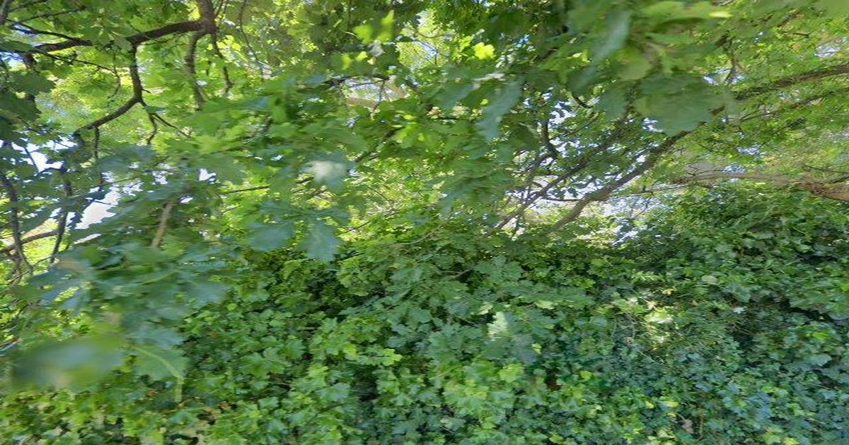 Mitcham for Young Professionals