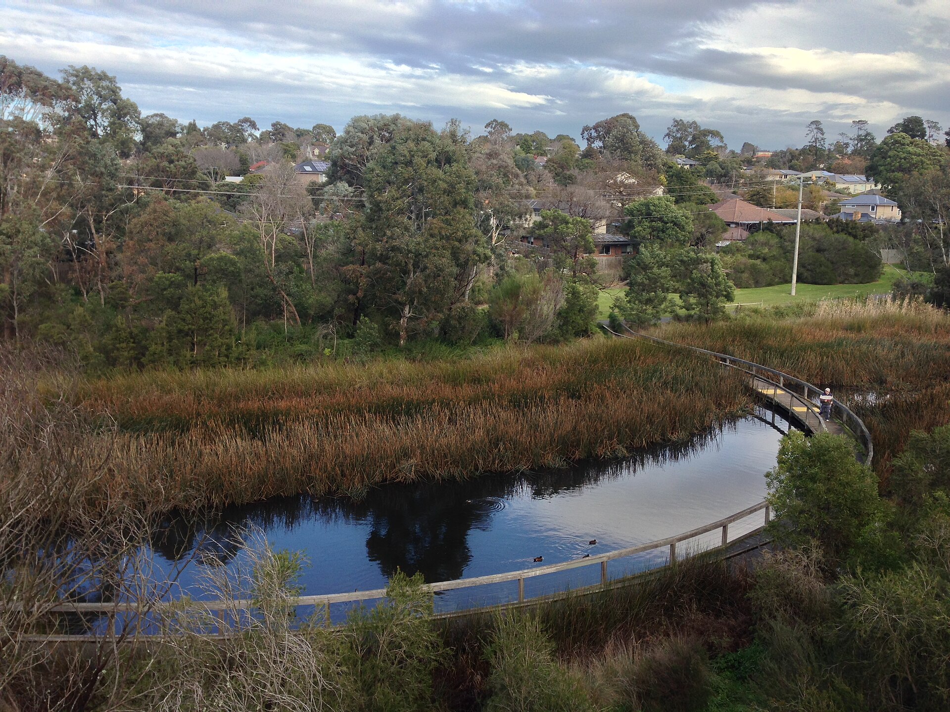 Exploring Mont Albert North: What to Know Before You Visit (2026)