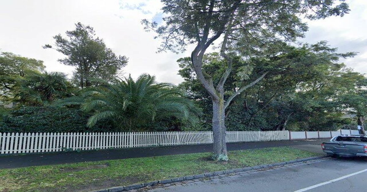 Mont Albert as an Investment