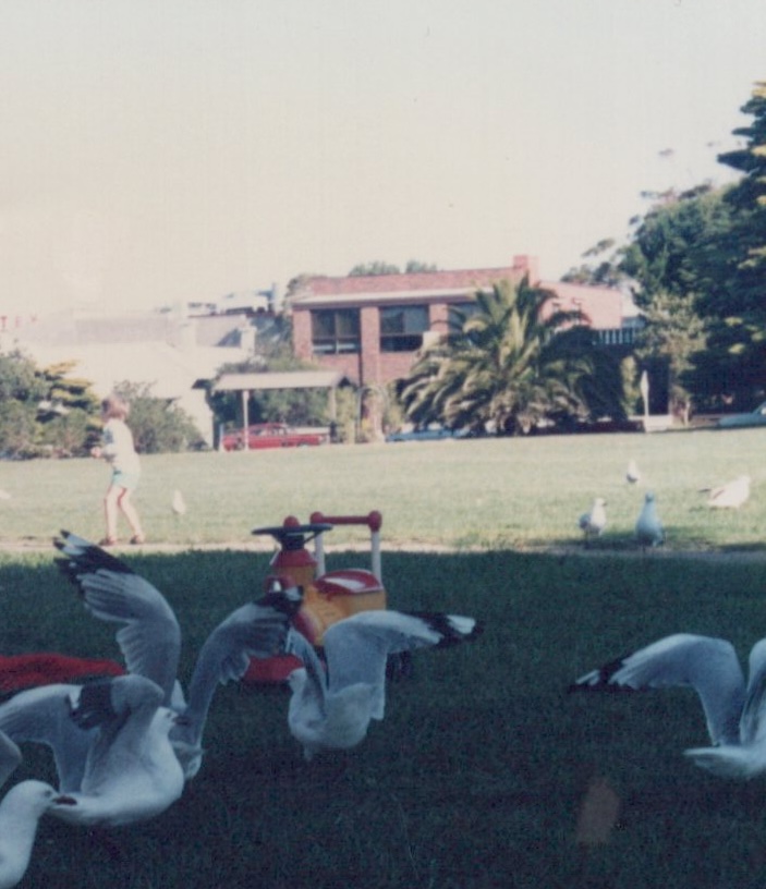 Mornington FAQ — Your Questions Answered (2026)