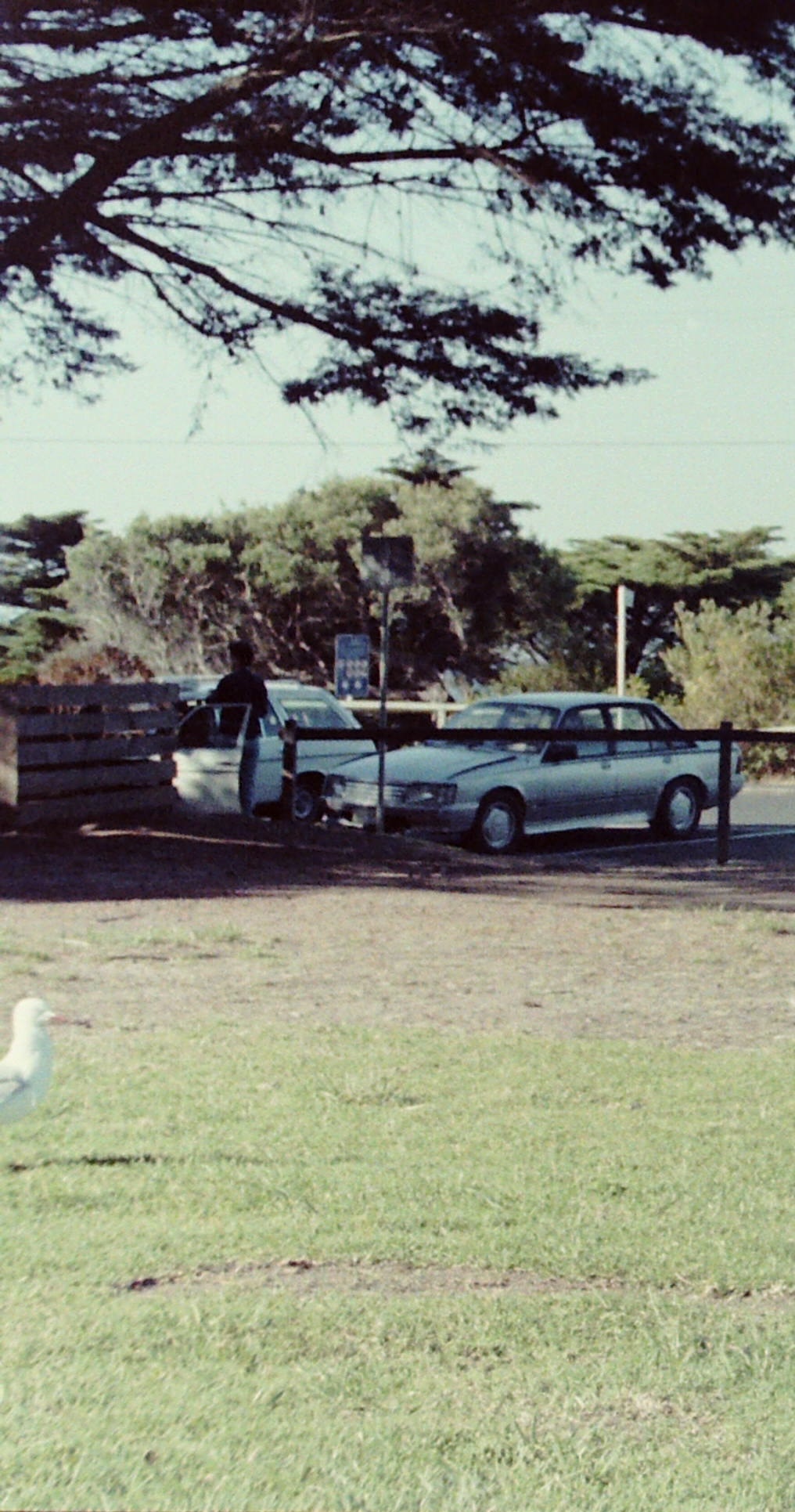 Apartment Living in Mornington 2026: What You Need to Know