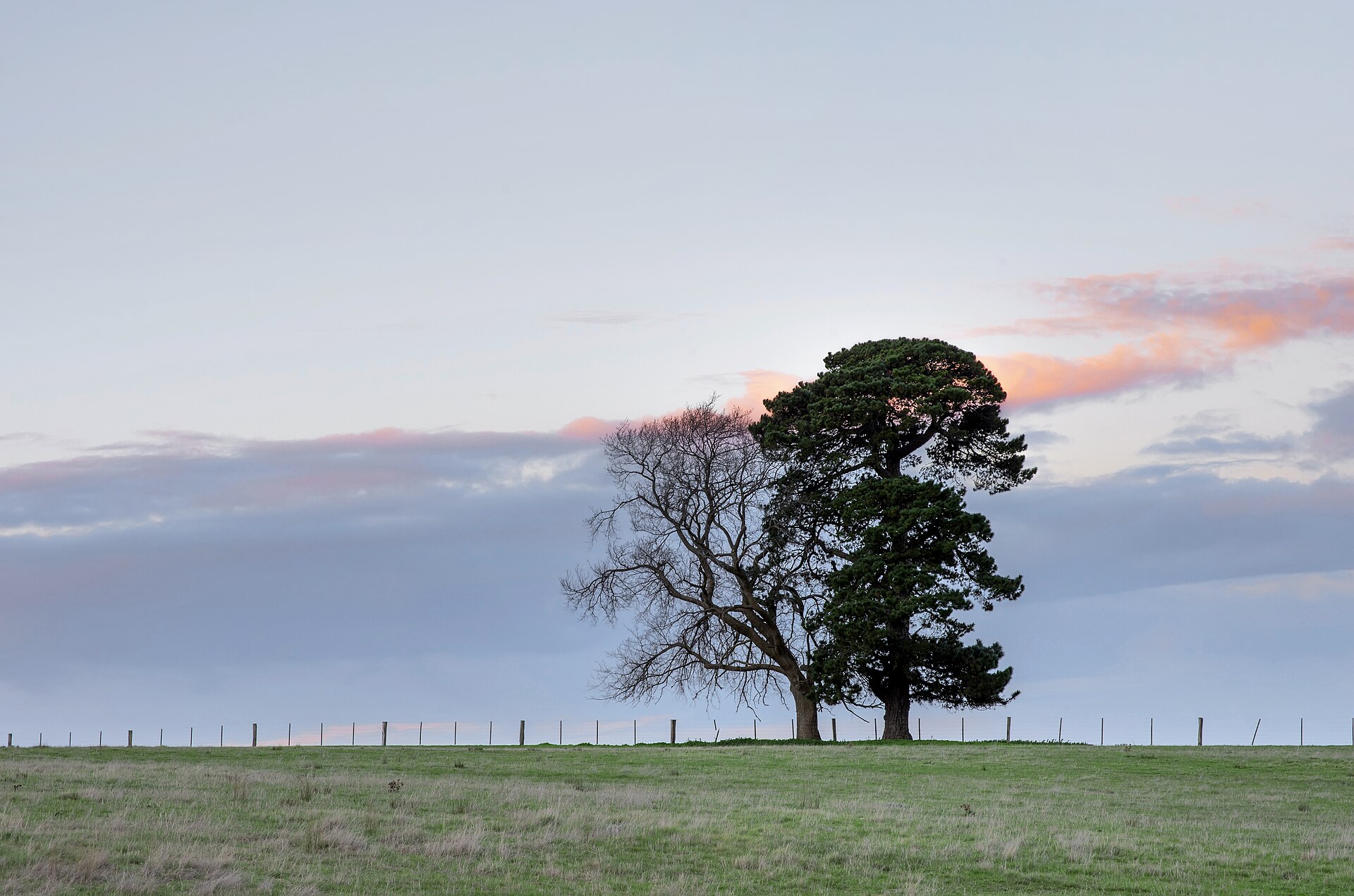 Your Guide to Mount Duneed (2026) -- Transport, Parks and Local Character