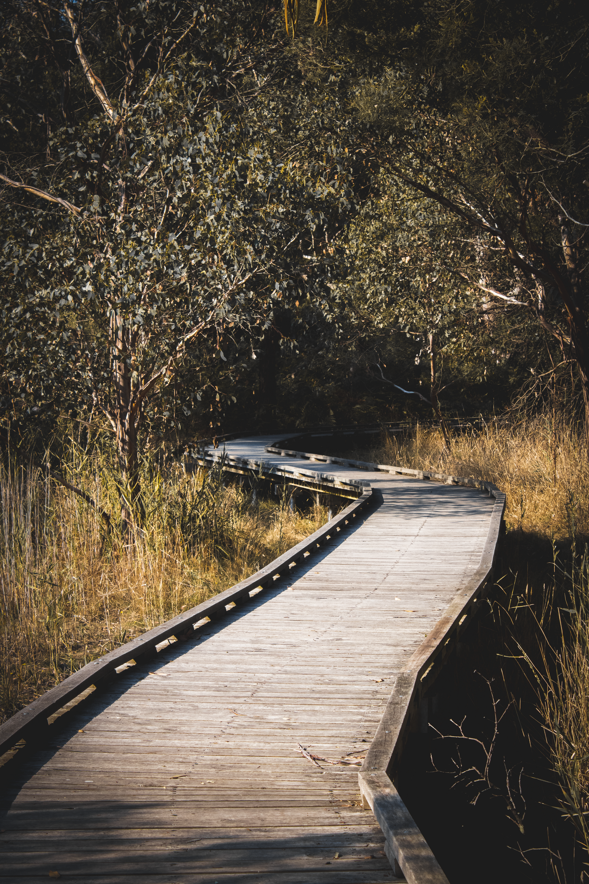 Best Japanese Food in Mount Martha 2026 -- The Honest Ranking