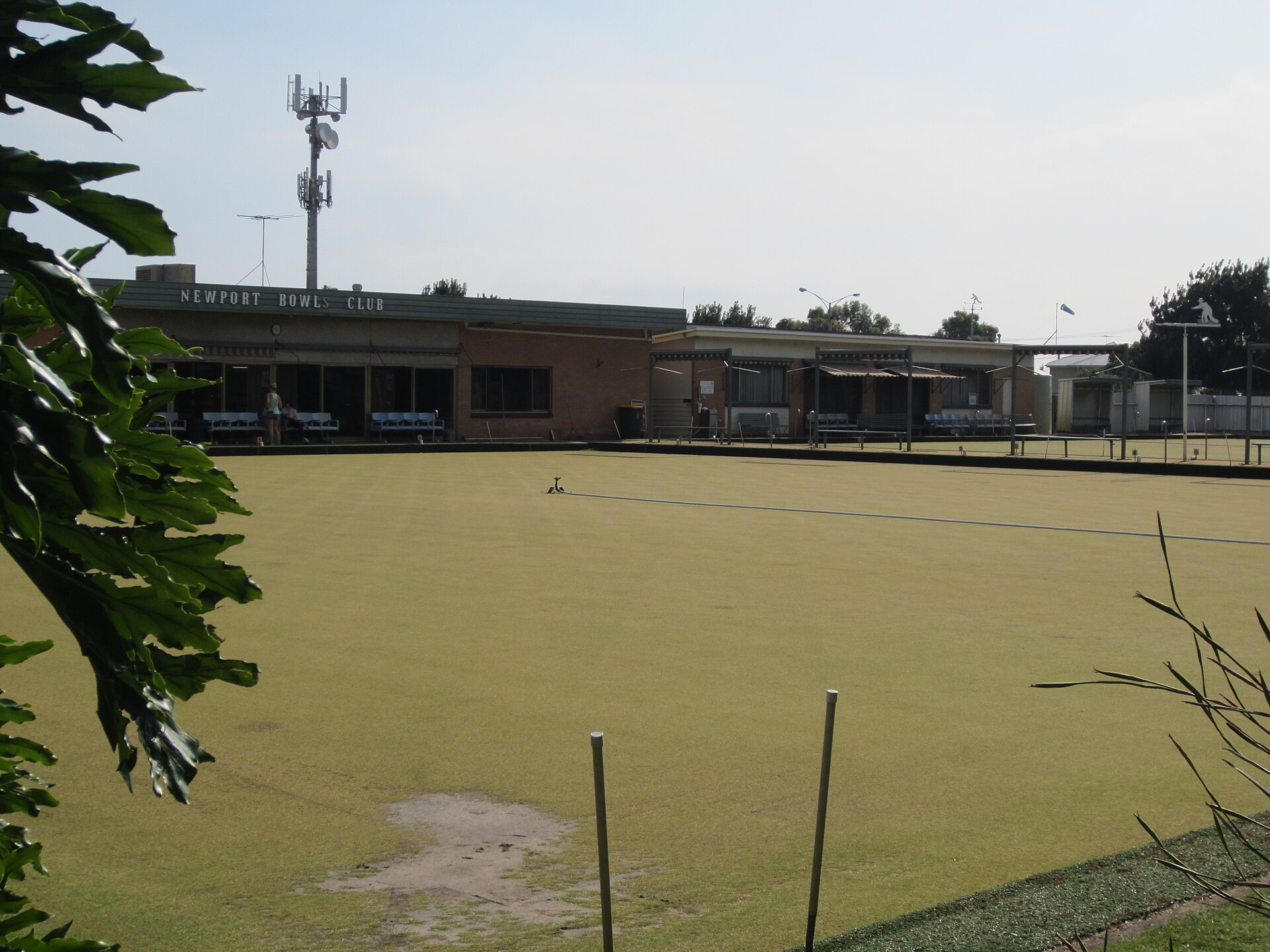 Newport FAQ — Your Questions Answered (2026)