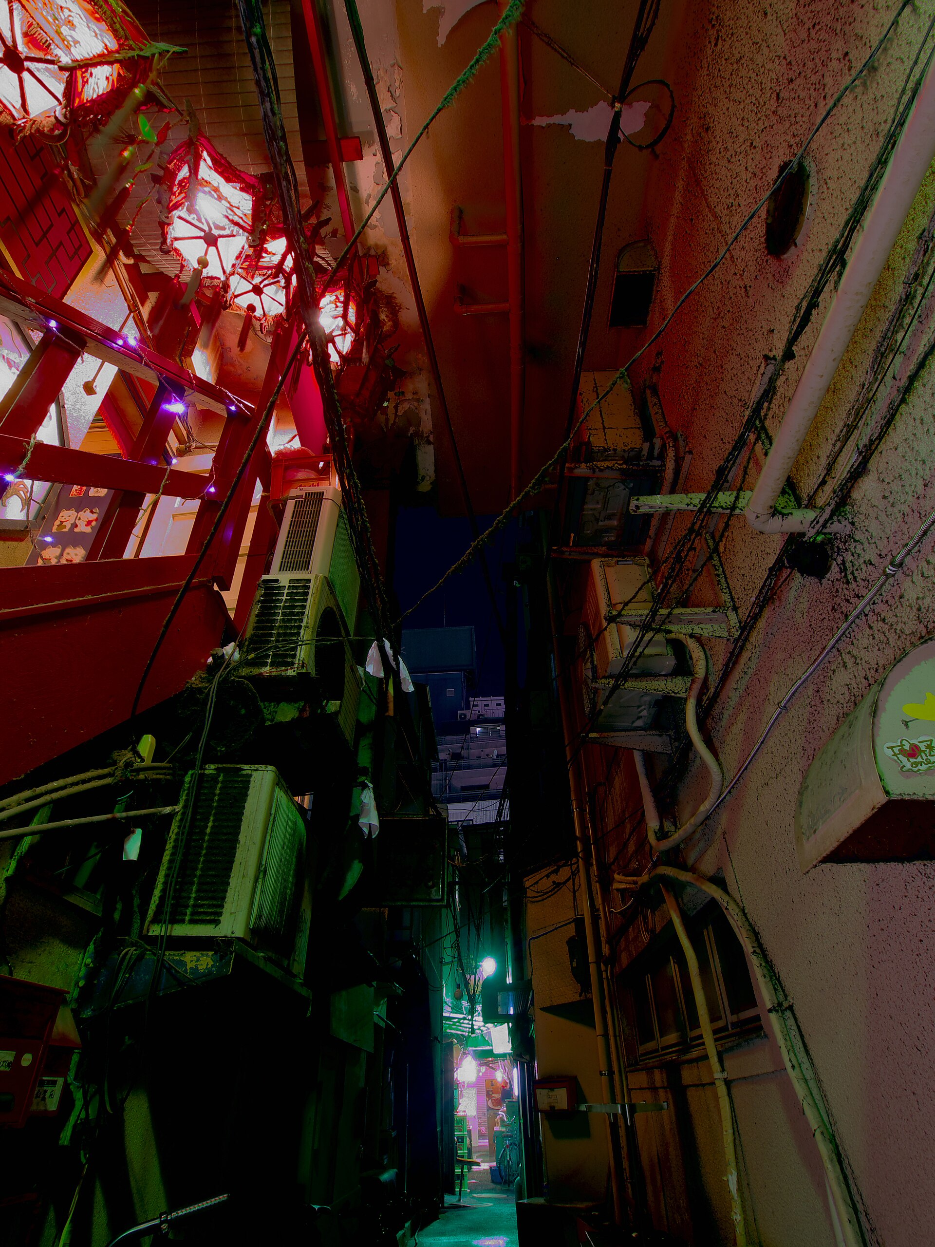 Where to Walk Your Dog in Nightlife 2026: The Local's Map