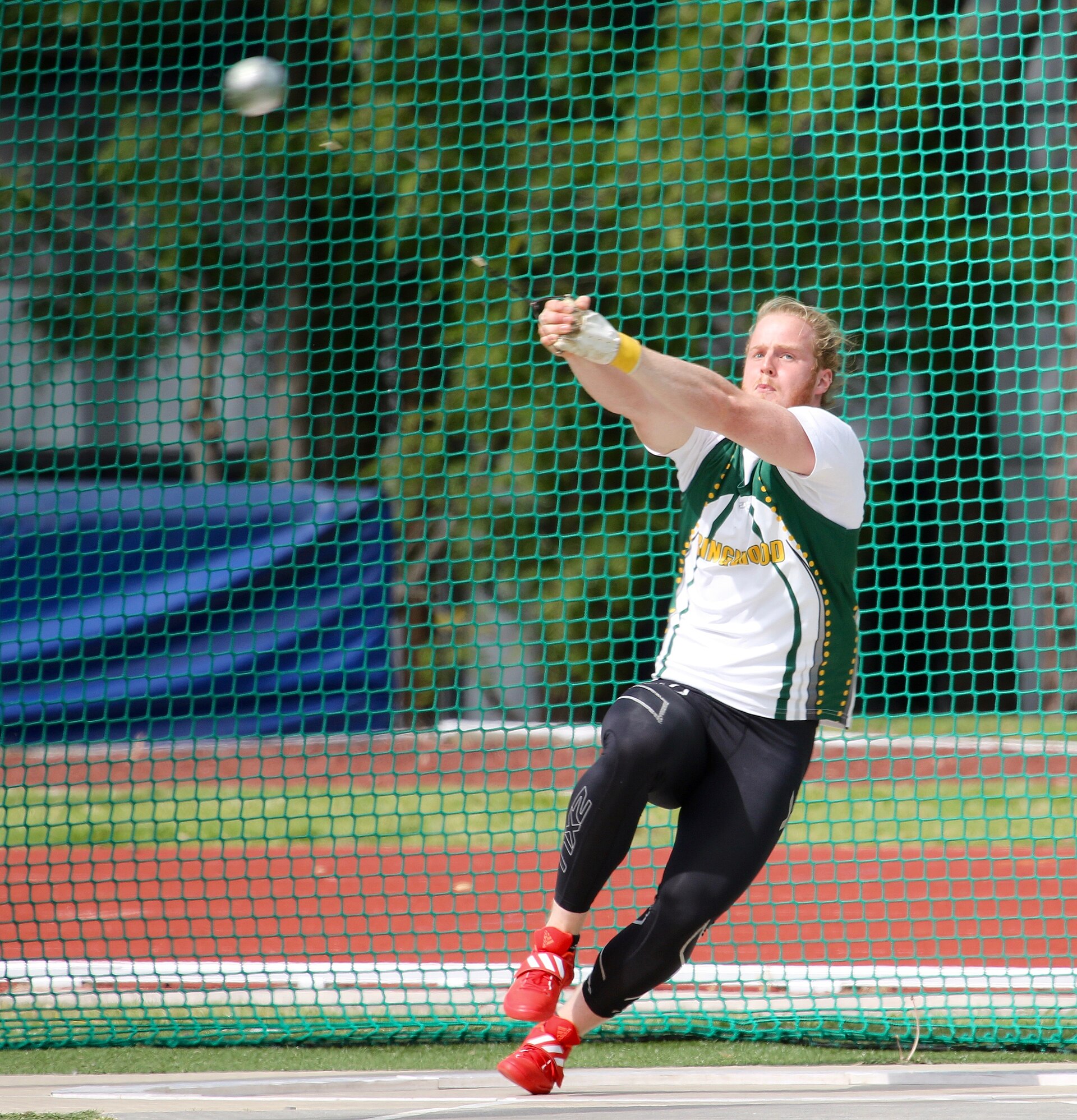 Your Guide to Nunawading (2026) -- Transport, Parks and Local Character