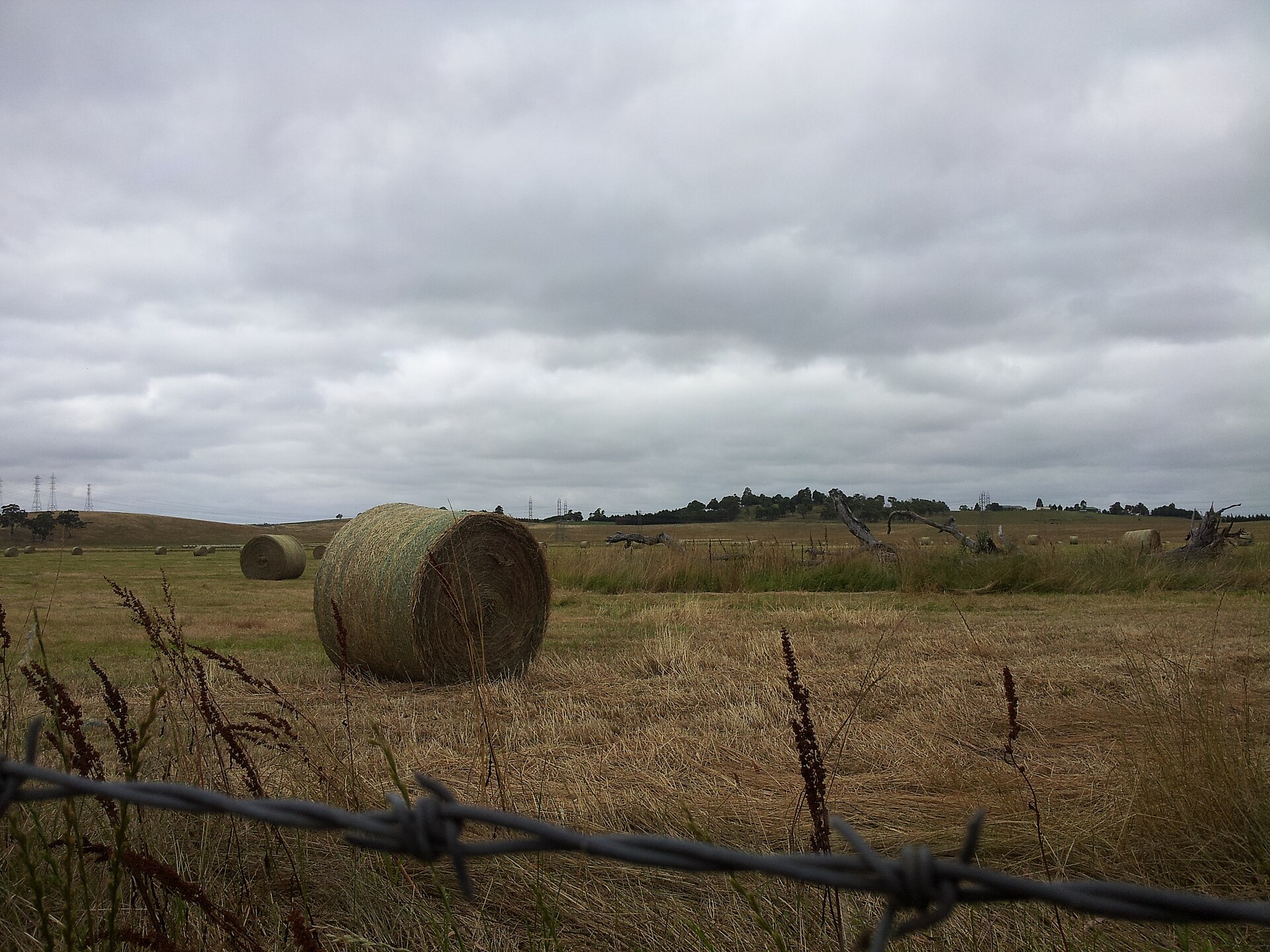 13 Best Things to Do in Officer (2026)