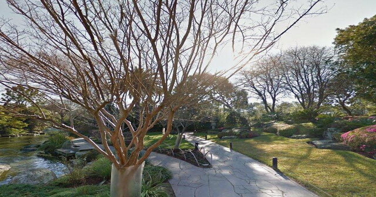 Best Breakfast in Parkville