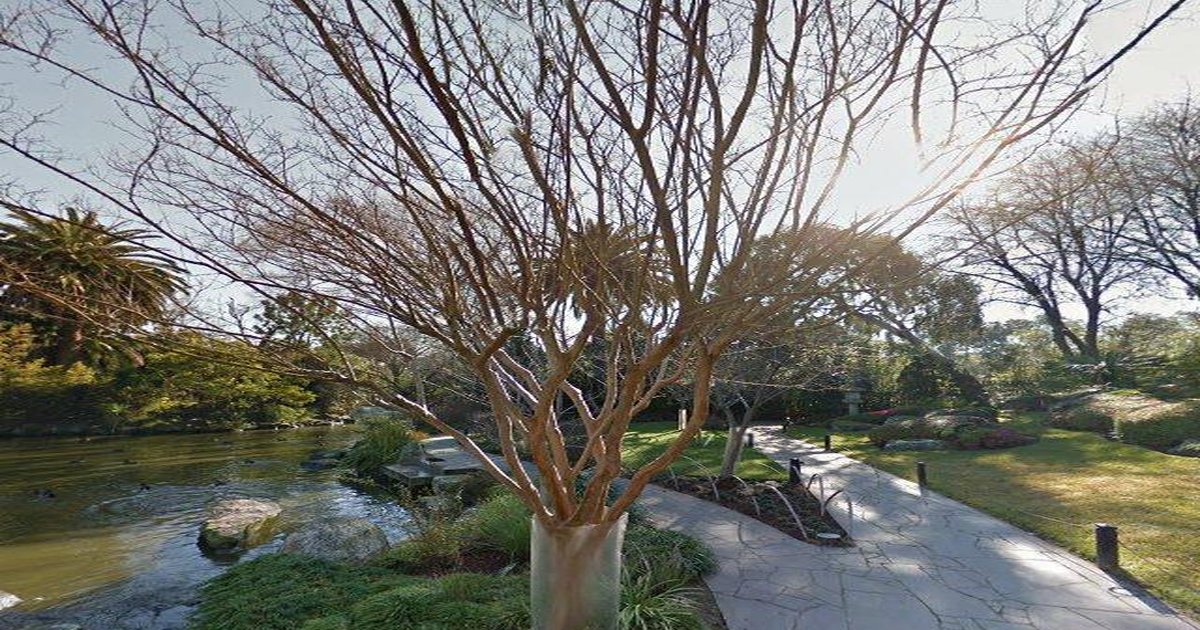 Best Italian Restaurants in Parkville