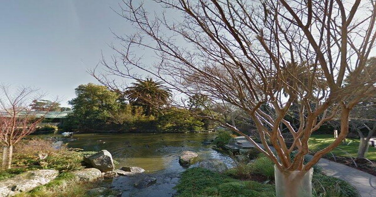 Best Japanese Restaurants in Parkville