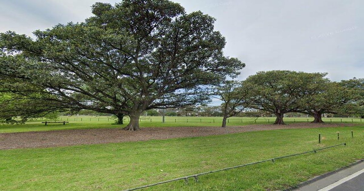 Parkville Council Services Guide