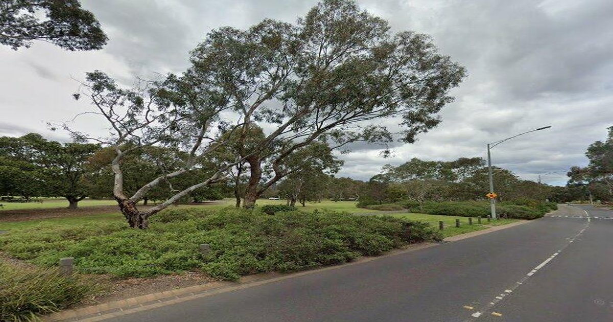 Parks & Green Spaces in Parkville