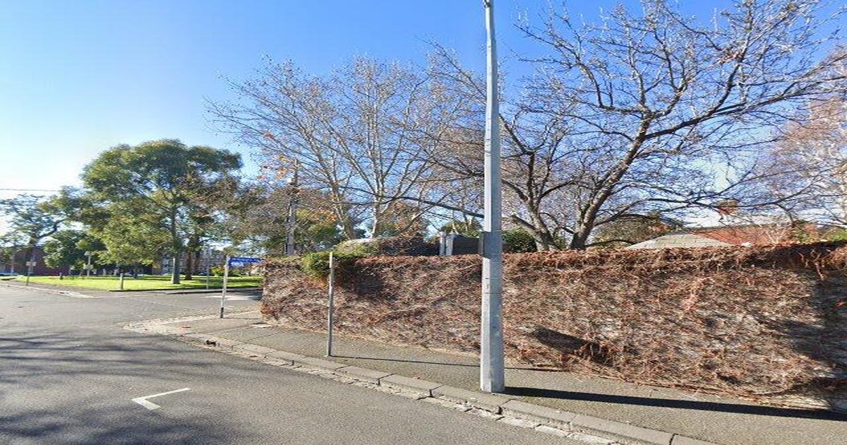 Best Pizza in Richmond