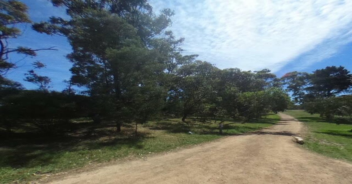 Rosanna FAQ — Your Questions Answered (2026)