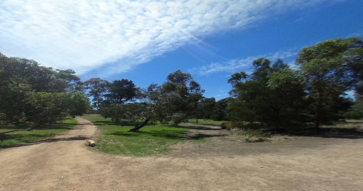 Best Takeaway in Rosanna