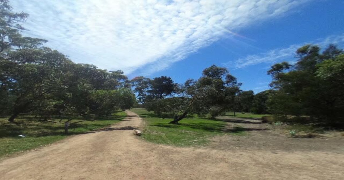 Best Wine Bars in Rosanna