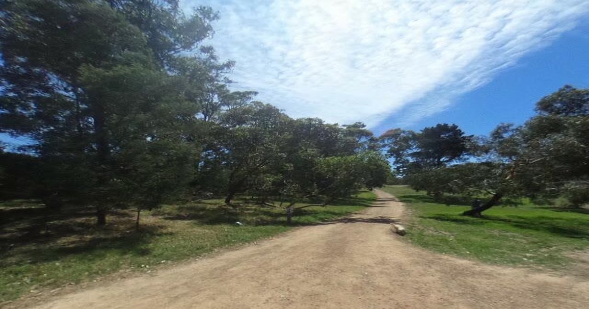 Libraries Near Rosanna