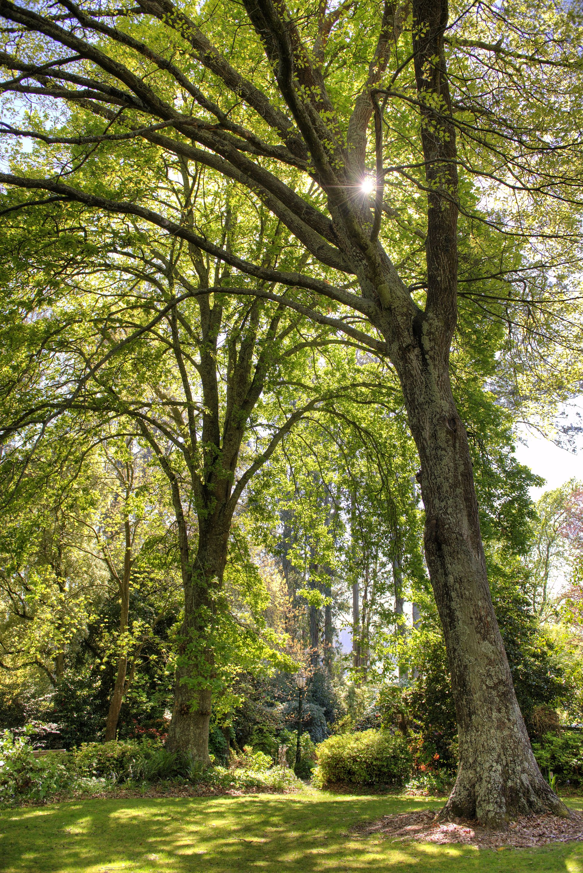 Exploring Sherbrooke: What to Know Before You Visit (2026)