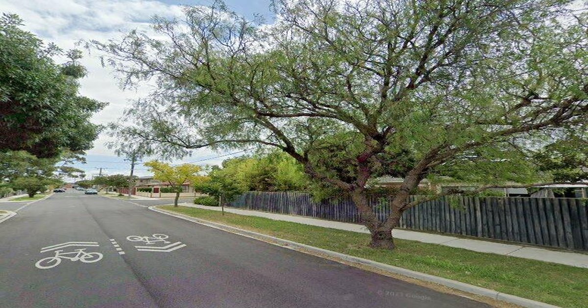 South Kingsville FAQ — Your Questions Answered (2026)