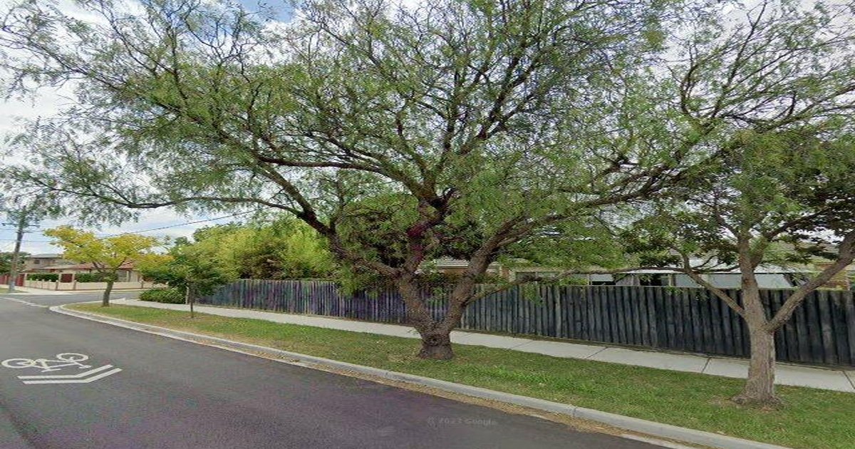 Honest Guide to South Kingsville