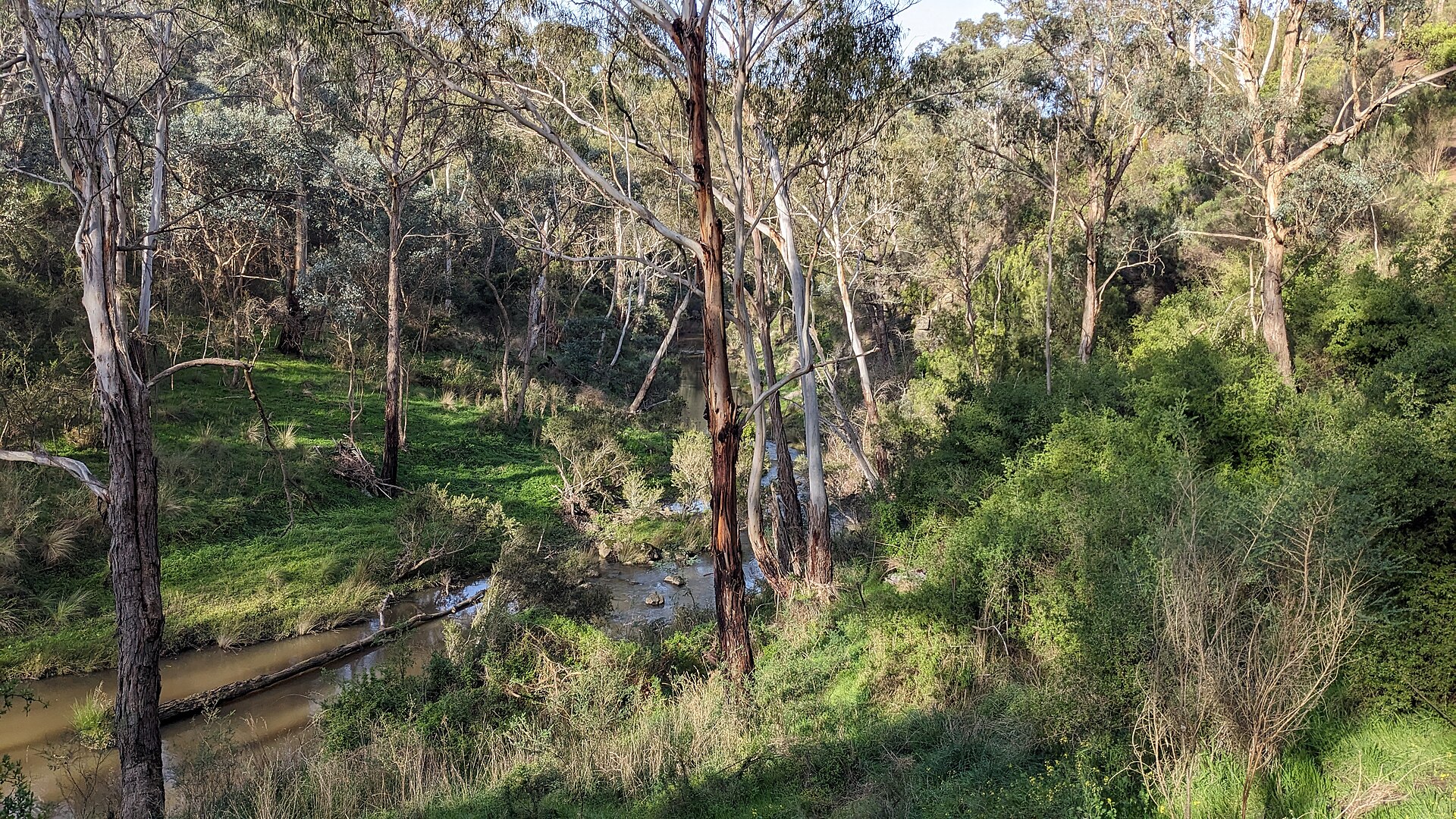 Best Bars in South Morang — 2026 Guide