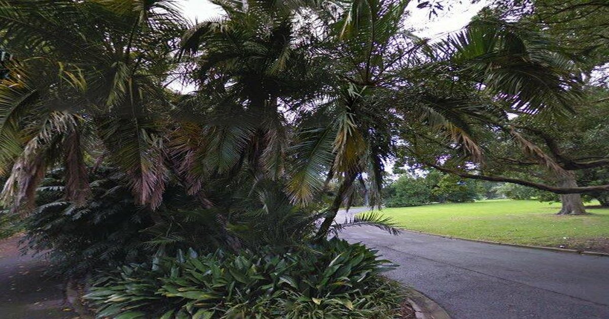 Best Playgrounds in South Yarra