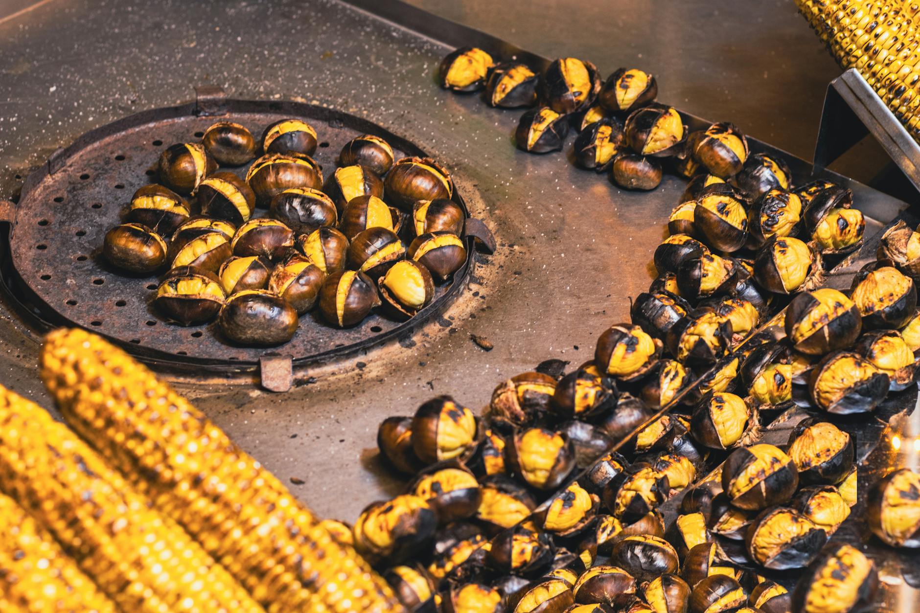 South Yarra Melbourne Chapel Street roast