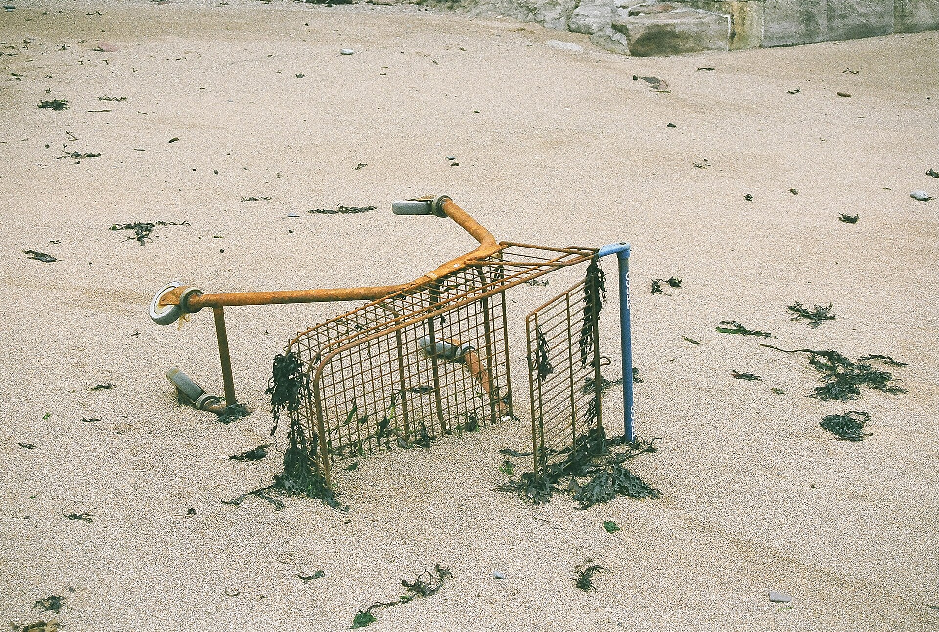 Your Guide to St Andrews (2026) -- Transport, Parks and Local Character