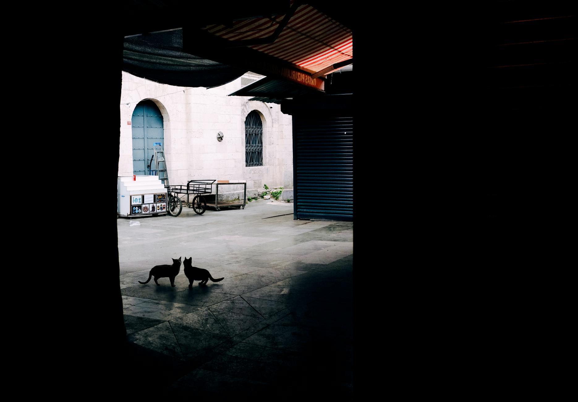 local favourites in St Kilda East — What Most People Miss