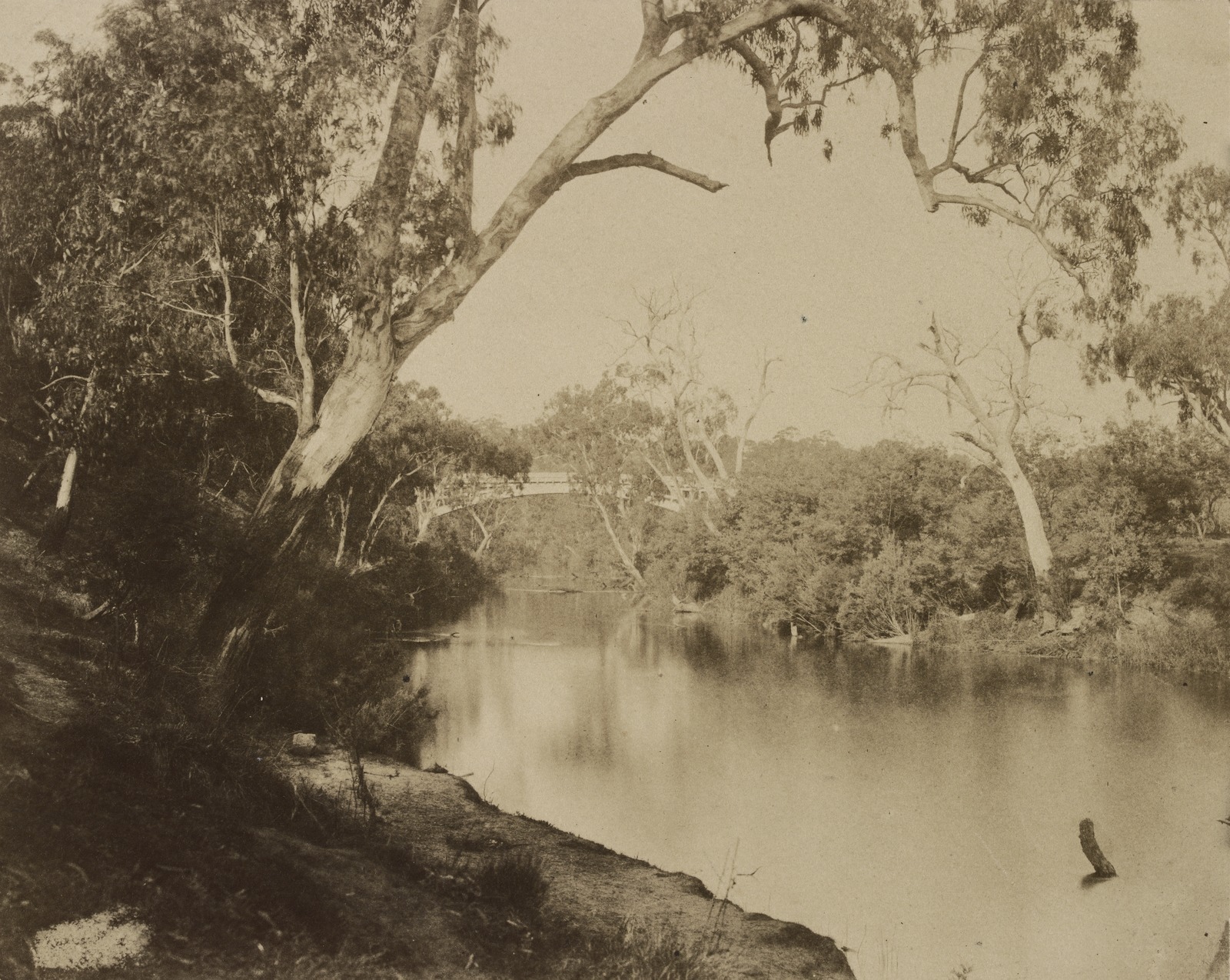 Shopping Guide — Studley Park