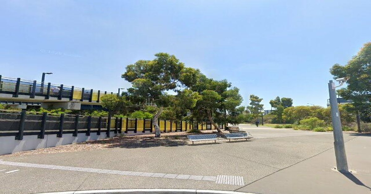 Sunshine FAQ — Your Questions Answered (2026)