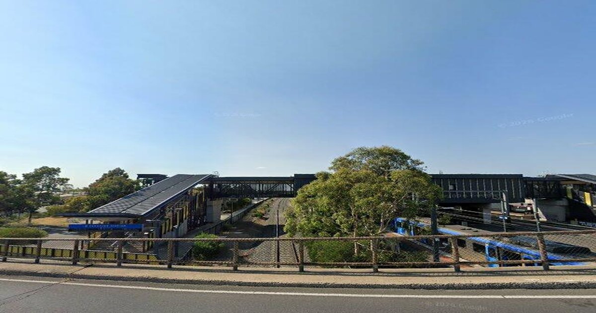 Best Pizza in Sunshine