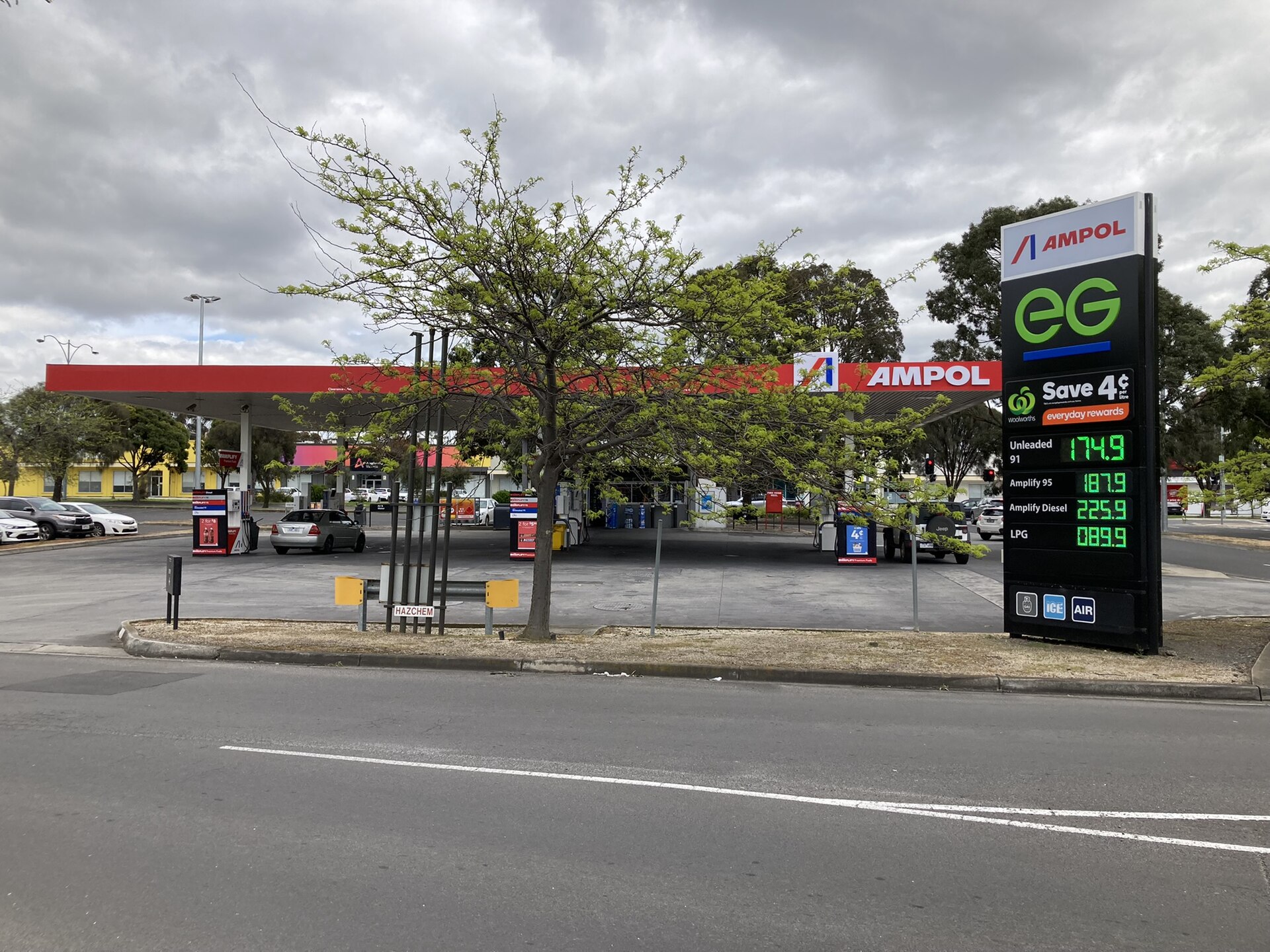 Best Dog Walks in Sunshine 2026: Routes, Parks & Off-Leash Spots