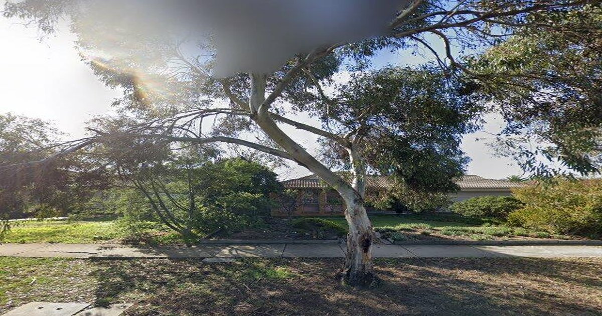 Best Takeaway in Taylors Lakes