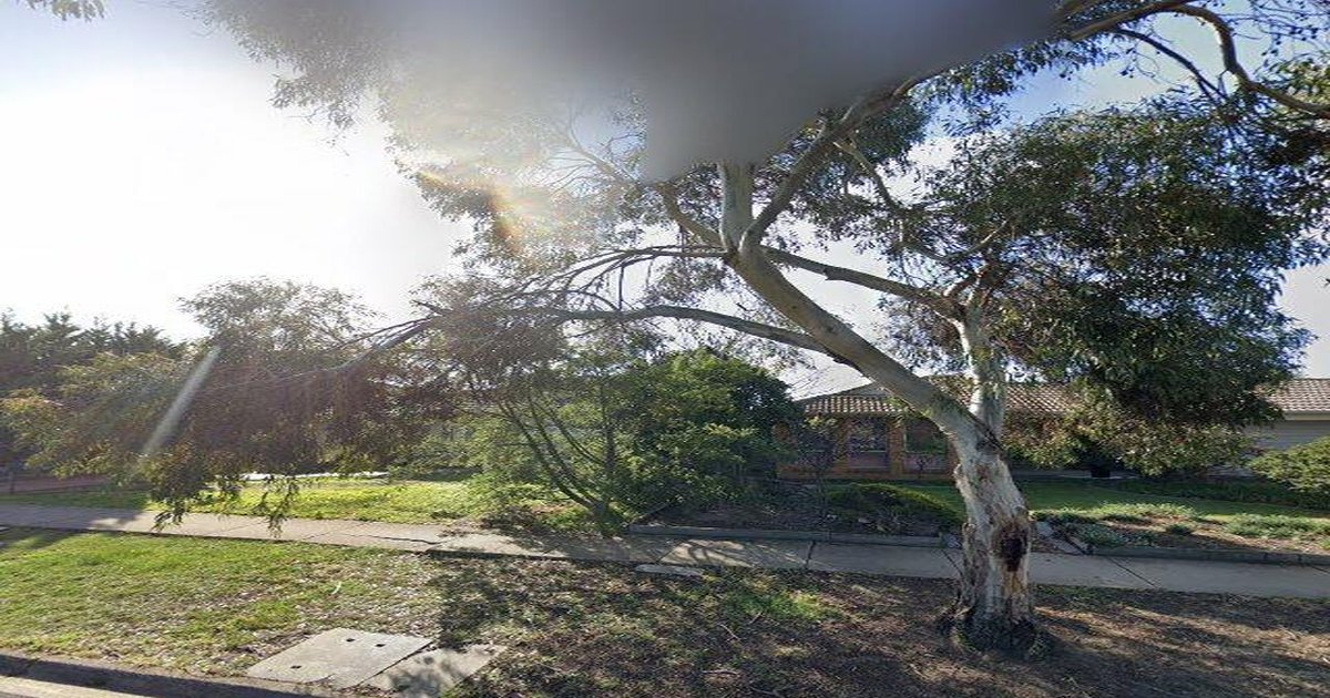 Best Thai Food in Taylors Lakes