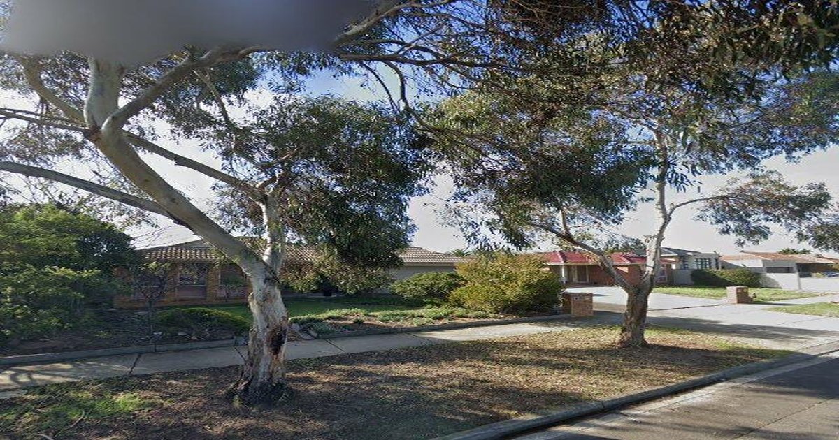 Taylors Lakes Community Guide