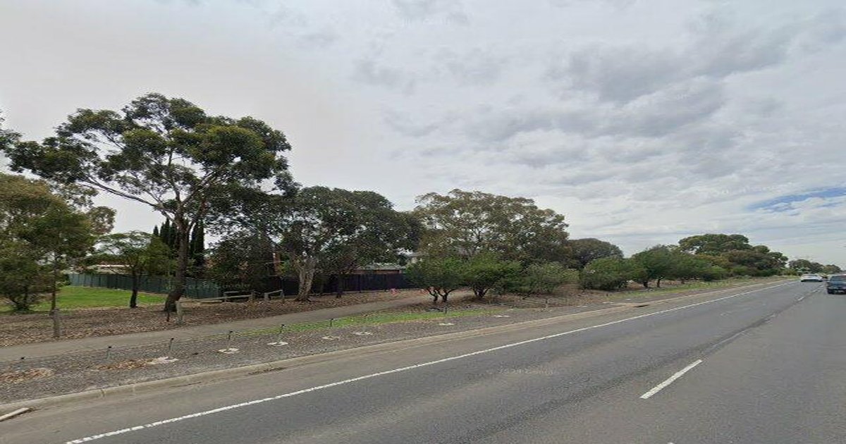 Taylors Lakes for Families — Complete Guide