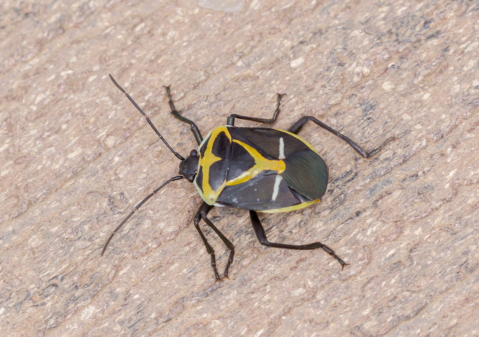 Taylors Lakes Activities Guide: 17 Places Worth Your Time (2026)