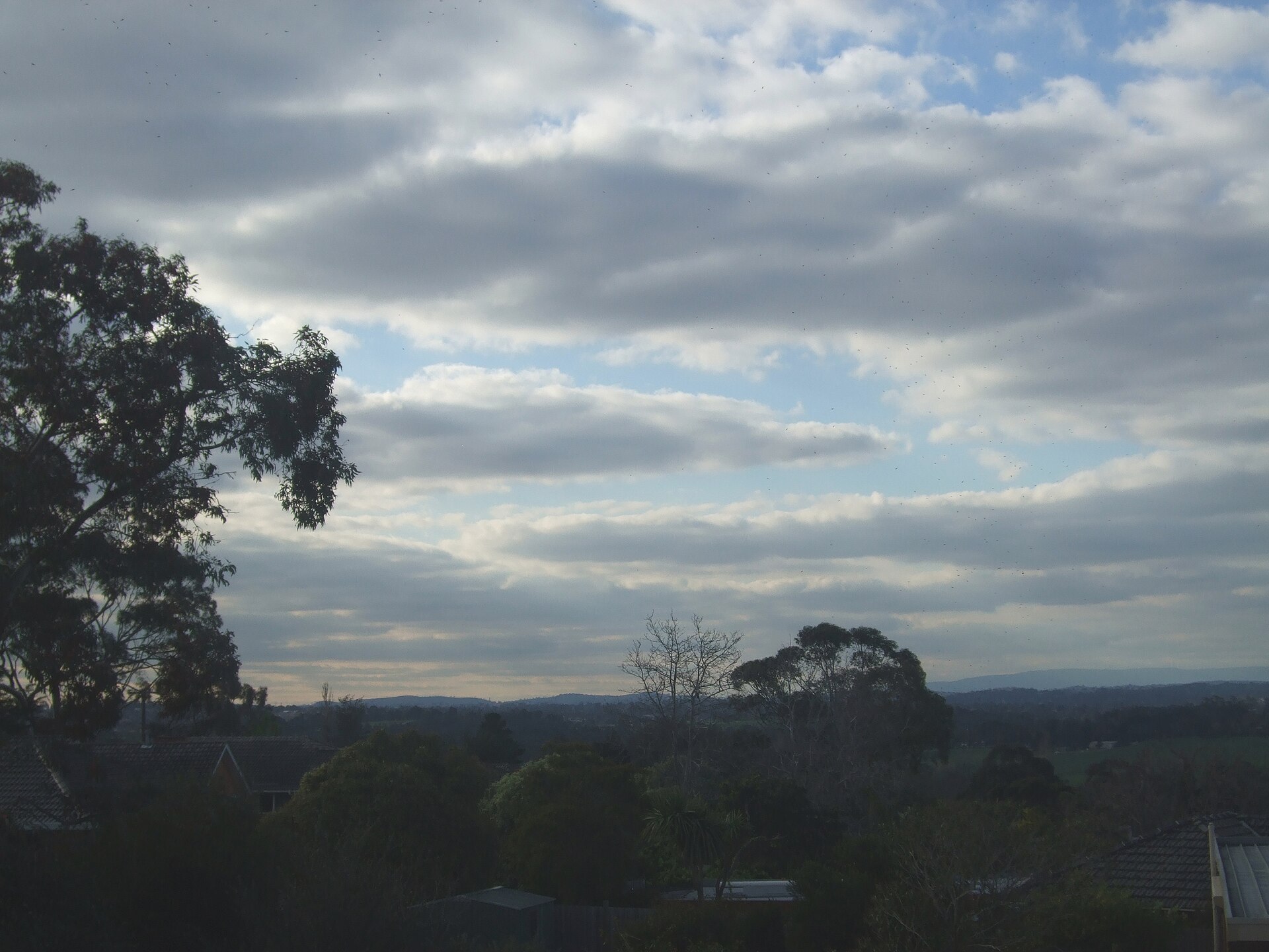 Templestowe Activities Guide: 13 Places Worth Your Time (2026)