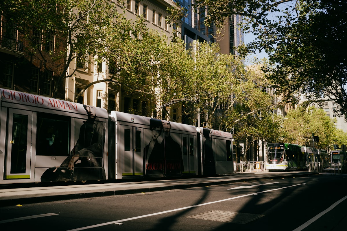 Carlton 2026: Locals vs Everyone Else - What Heavy TikTok Users Discovered