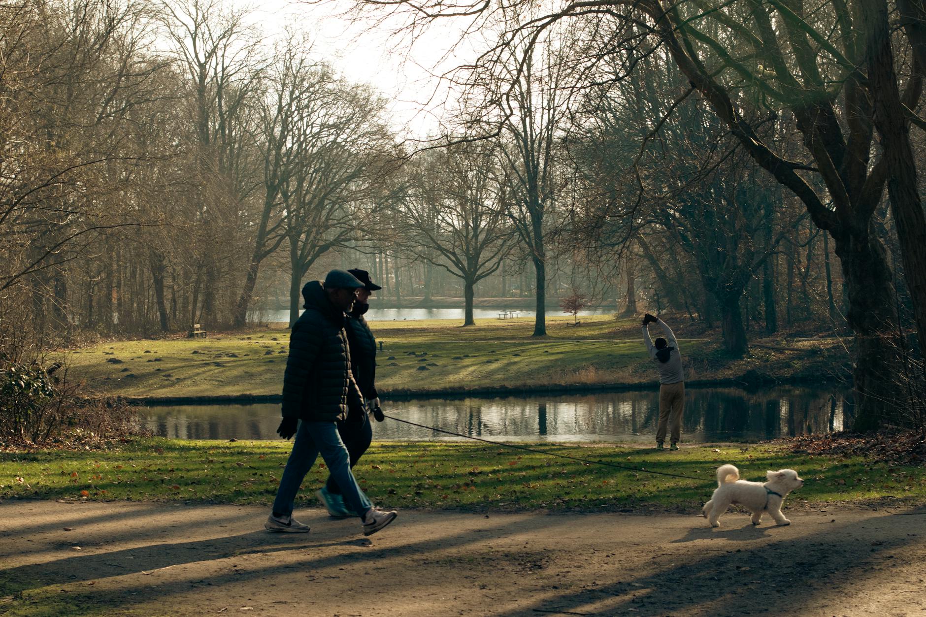 Thornbury Melbourne dog-friendly park and walking trail