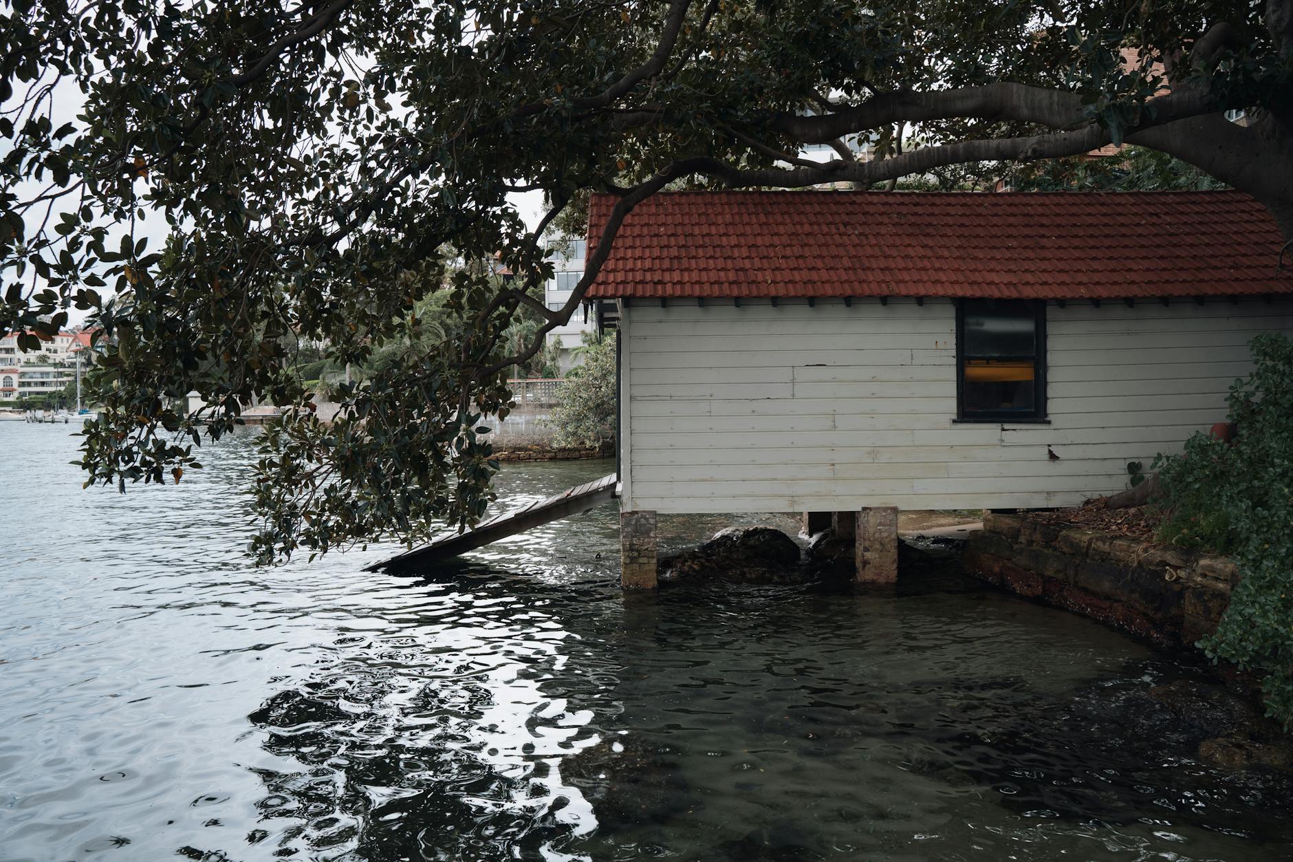 Grand heritage homes along a tree-lined street in Toorak