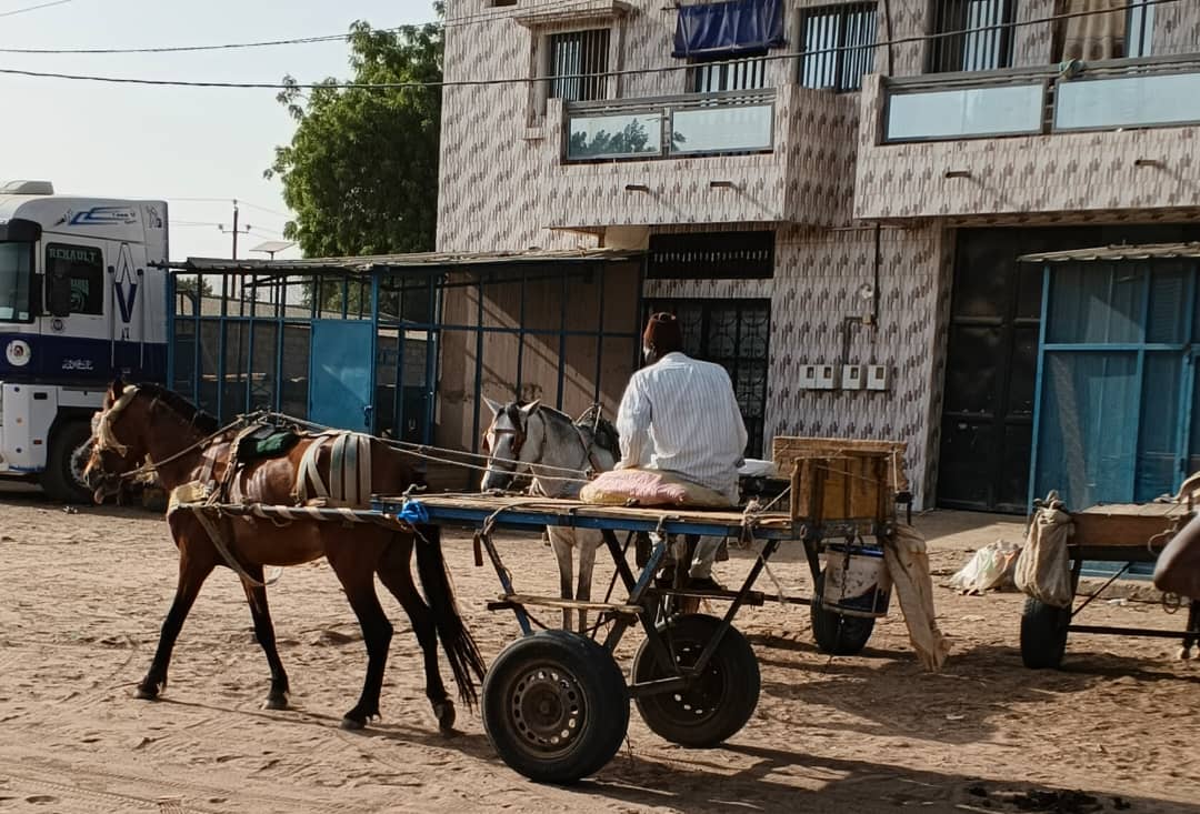 Will Transport Prices Rise? The 2026-2029 Market Forecast