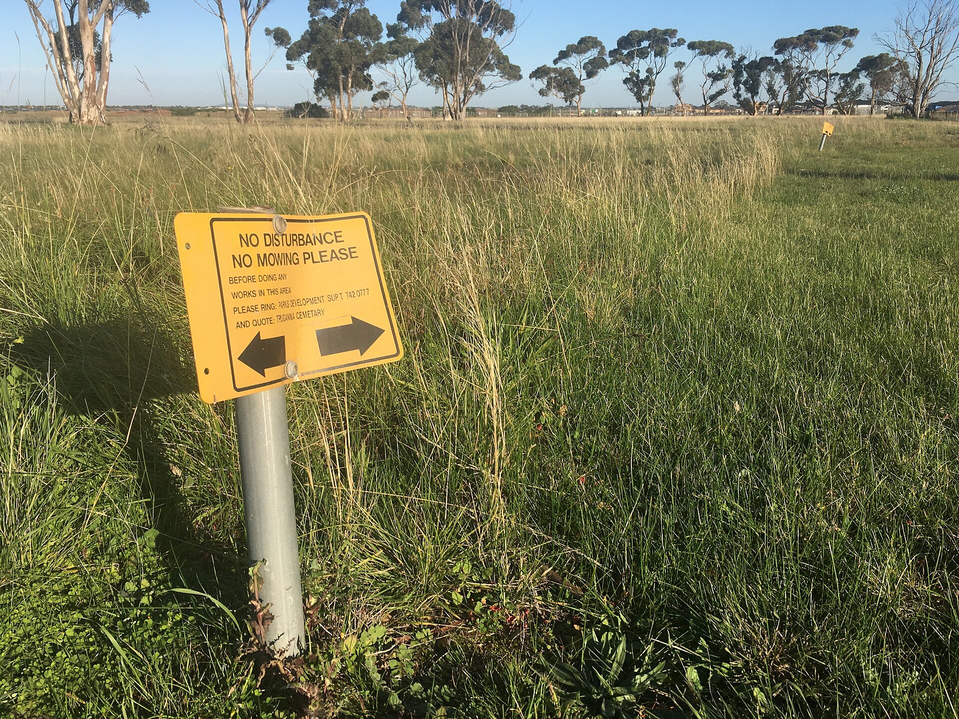 Truganina Activities Guide: 13 Places Worth Your Time (2026)