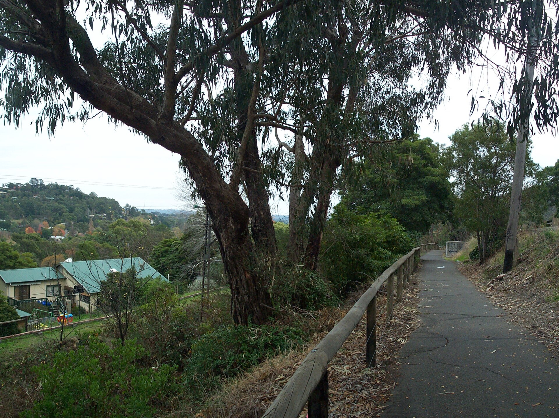 Brunch in Upwey 2026: The Spots Worth Getting Out of Bed For