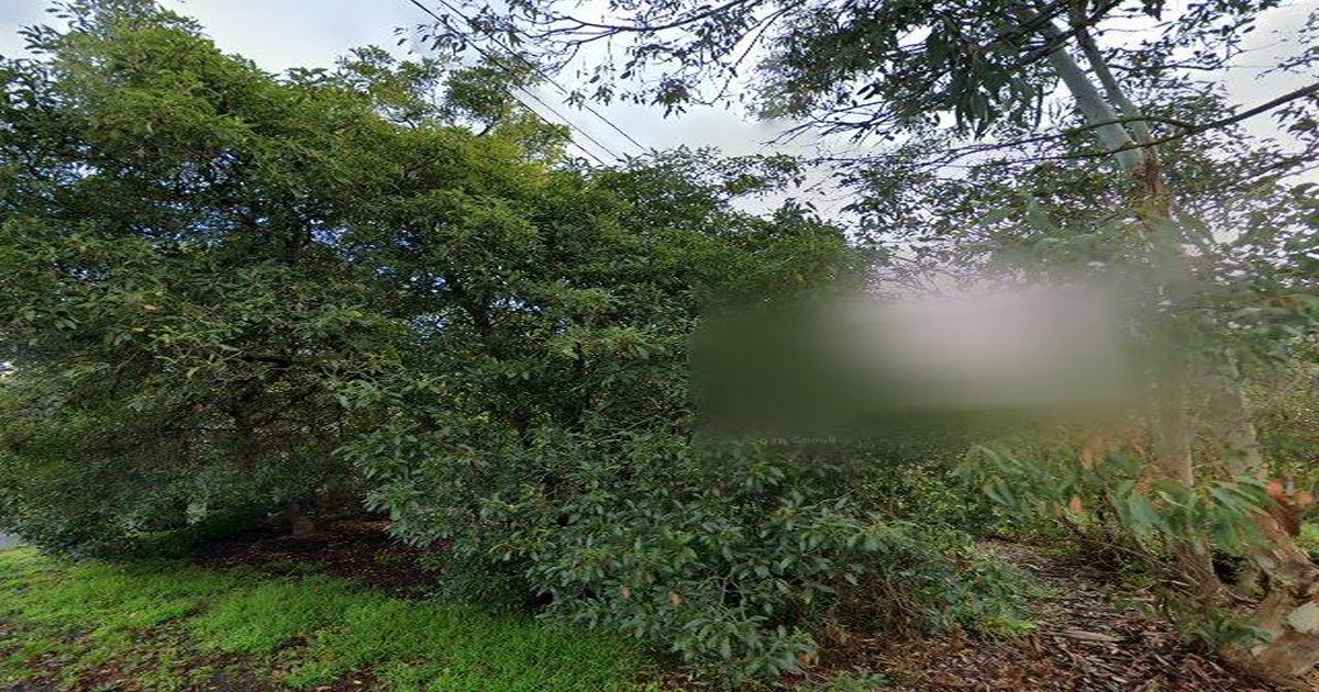 Vermont FAQ — Your Questions Answered (2026)