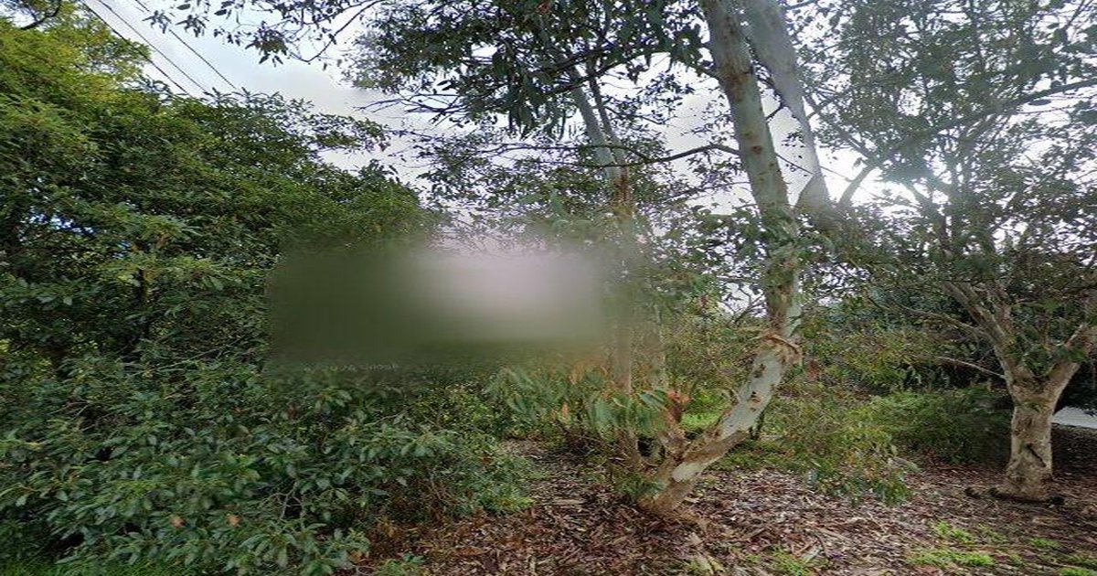 Best Bakeries in Vermont